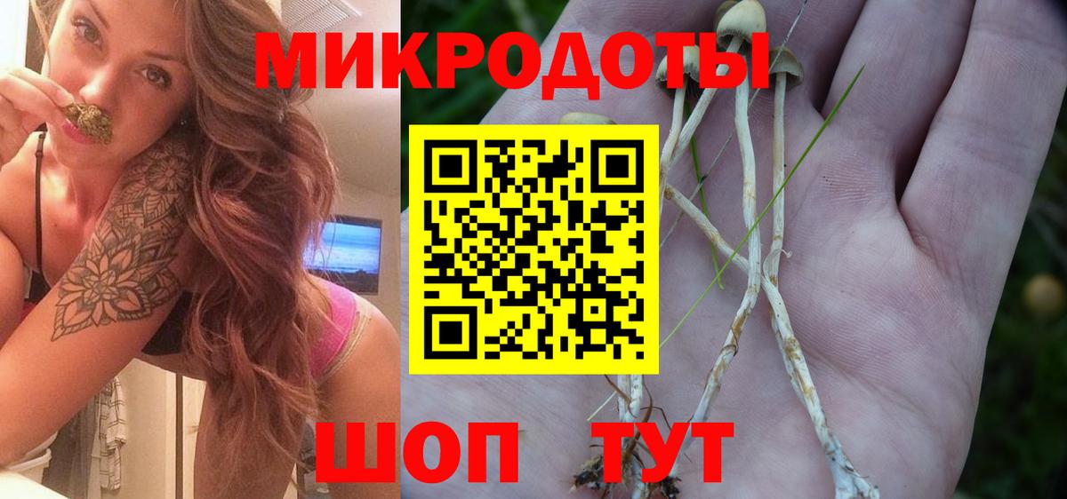 Псилоцибиновые грибы GOLDEN TEACHER Верхняя Салда